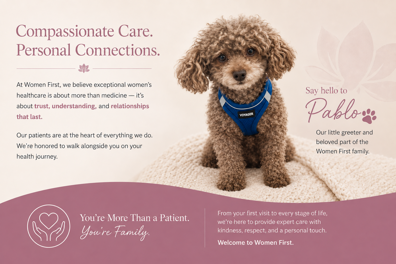 Pablo, the much-loved Women First office dog, featured in a Women First welcome graphic