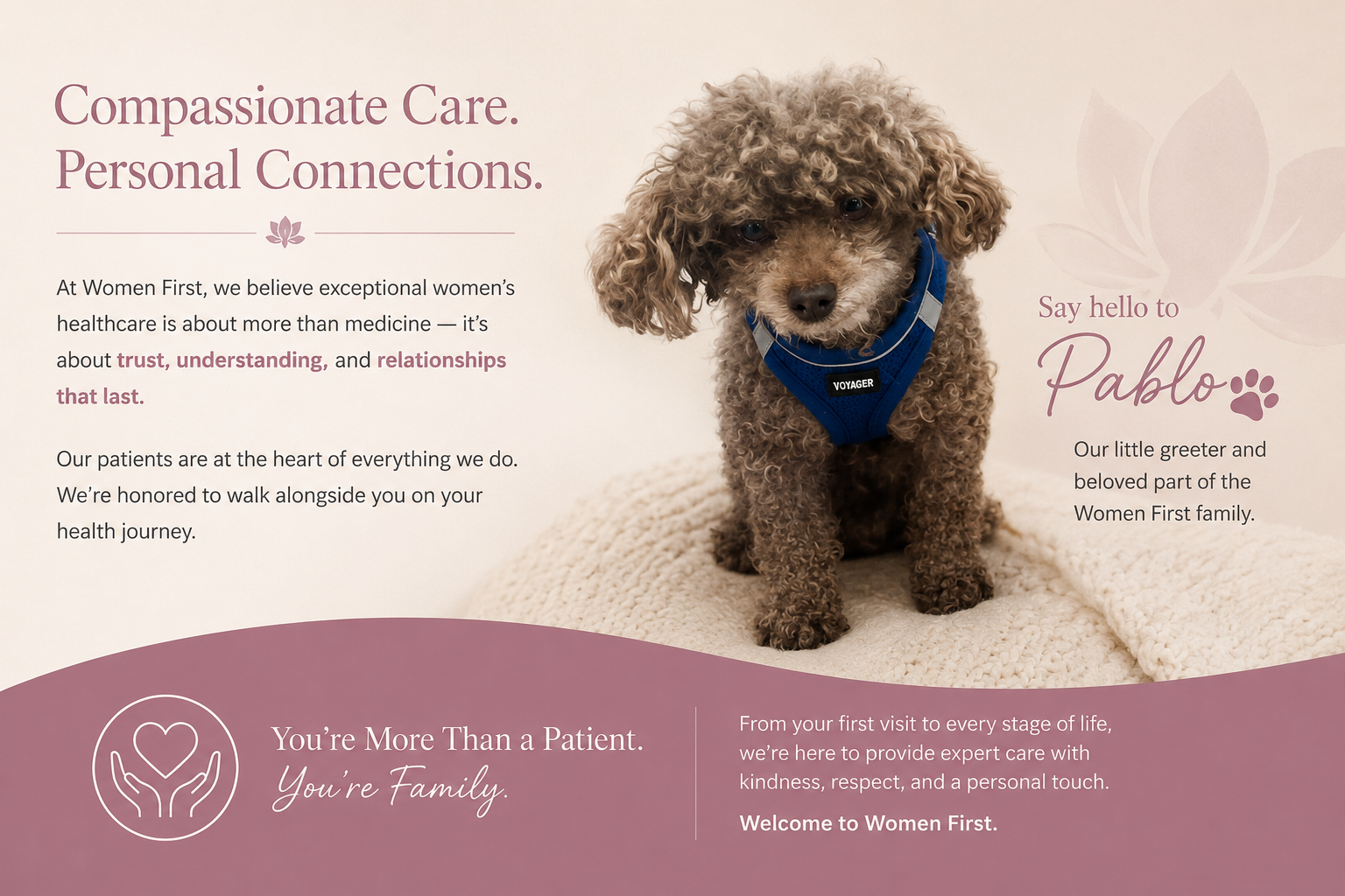 Pablo, the much-loved Women First office dog, featured in a Women First welcome graphic